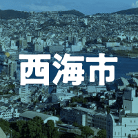 西海市で借りれる不動産担保ローン